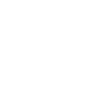 Royal NLR – Netherlands Aerospace Centre